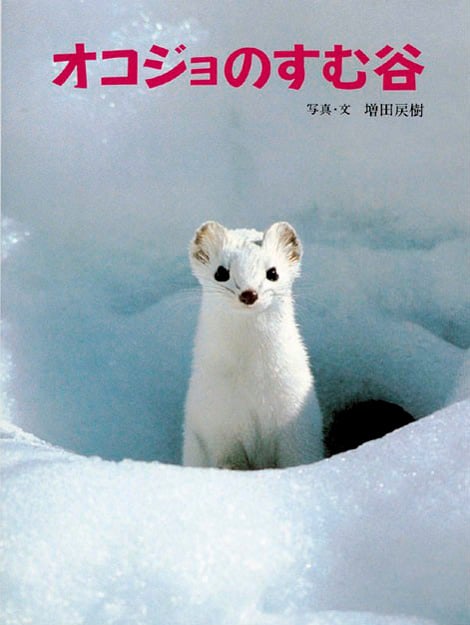 オコジョのすむ谷