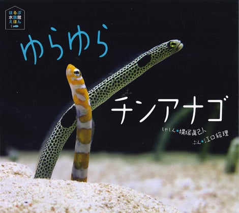 ゆらゆらチンアナゴ